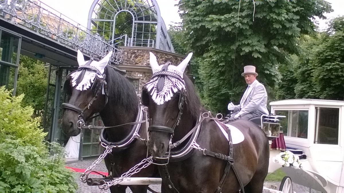 Kutscherei Markus Wimmer Kutsche Und Kutschen In Deutschland Als